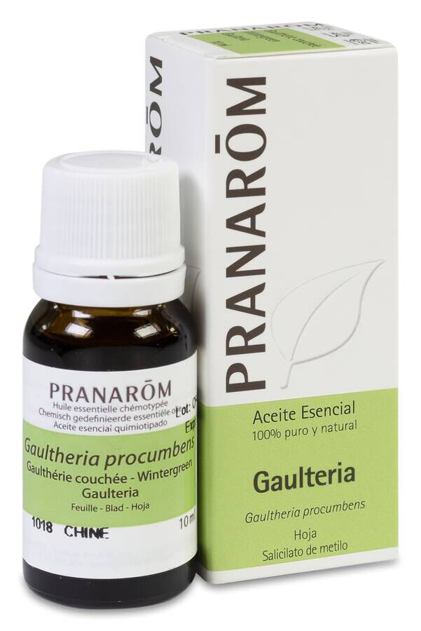 Pranarom Aceite Esencial de Gaulteria Procumbens, 10 ml