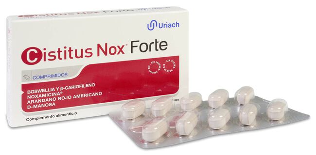 Uriach Cistitus Nox Forte, 20 Comprimidos image number null